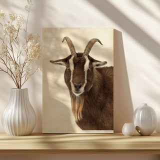 Billy the Goat Print