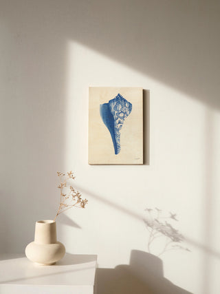 Chinoiserie Shells III Print