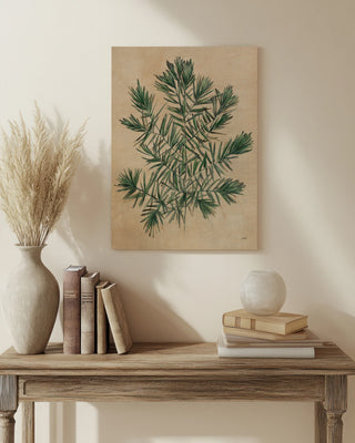 Herbal III Print