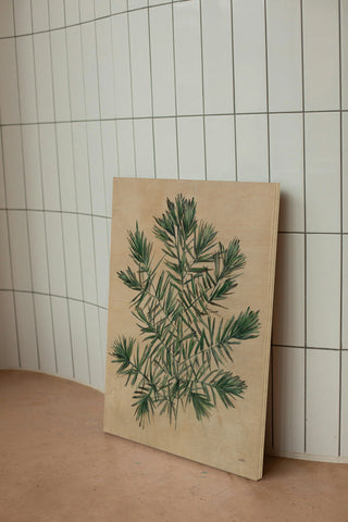 Herbal III Print