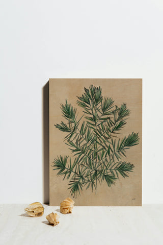 Herbal III Print