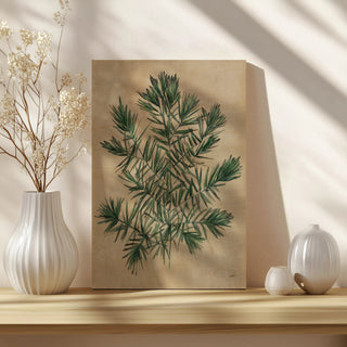 Herbal III Print