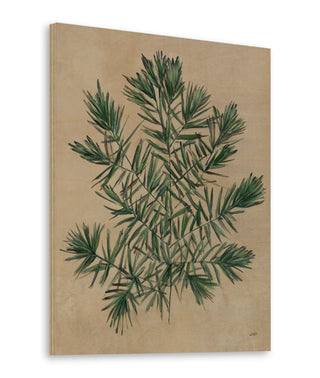 Herbal III Print