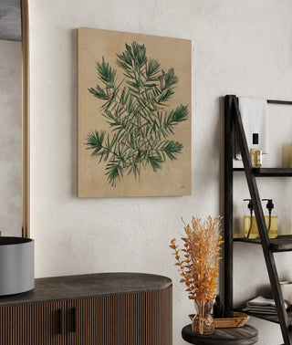 Herbal III Print
