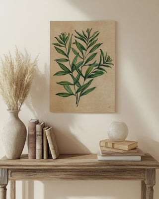 Herbal IV Print