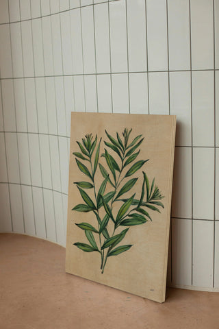 Herbal IV Print