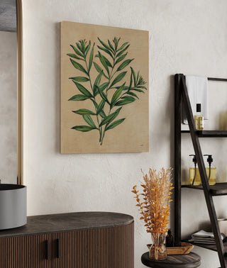 Herbal IV Print