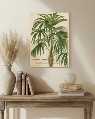 Riviera Palms II Print