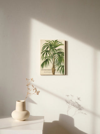 Riviera Palms II Print