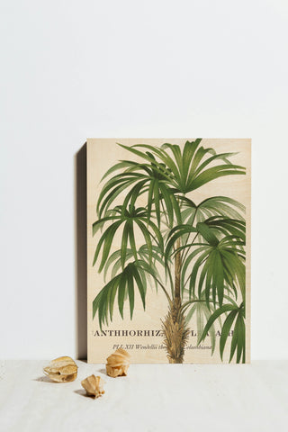 Riviera Palms II Print