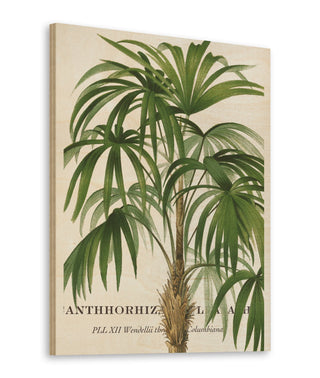 Riviera Palms II Print