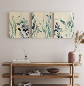 Blue Kelp Set of 3 Prints