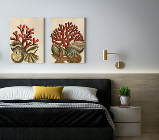 Coral Medley Set of 2 Prints