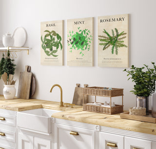 Herbs Kitchen Set of 3 Wall Art