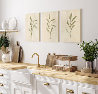 Olive Leaves Set of 3 Prints