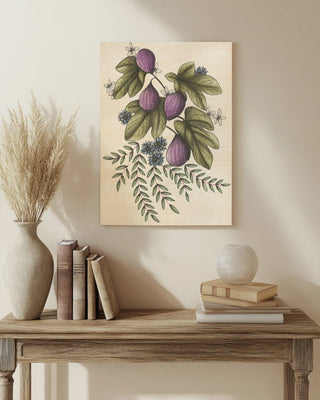 Figs Flowers by Cecilia Battaini print