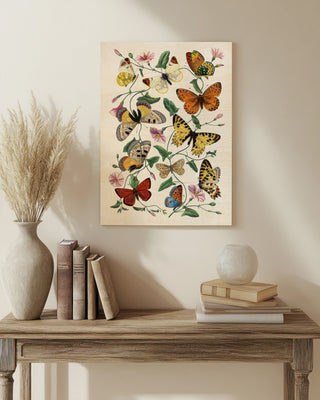 Butterfly and Moth Le Jardin Illustration by Paul Gervais print