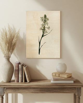 White Blooms print