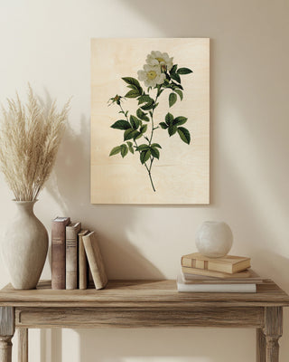 Wild White Flower print